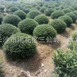 �������׶���������l ���׶����� ���׶���С��Ҏ���Rȫ����r��