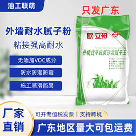 广东厂家跨境热销外墙耐水腻子粉柔性真石漆氟碳漆打底翻新防水