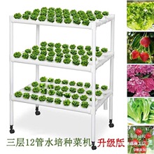 12�ܵ�ˮ���߲˷N�˙C�̨�Ԅӻ��o�������O�����ˮ���Nֲ�ܰ��]