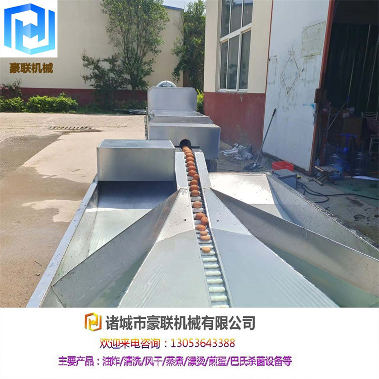 全自动洗蛋机 机械源头生产 支持试机 产量每小时3000到20000枚