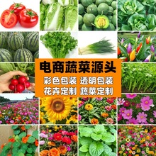 lͯݻСWСbɫbСYƷ߲˻ܷNǹ