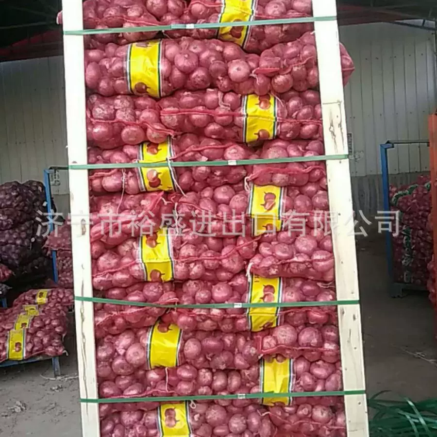 出口洋葱，红洋葱，黄洋葱，紫色洋葱，黄色洋葱，新鲜洋葱onion
