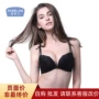 珀依兰女士性感蕾丝边胸罩