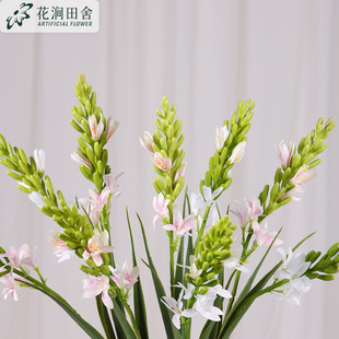 滨 c滨üٻLӻջҹ羳