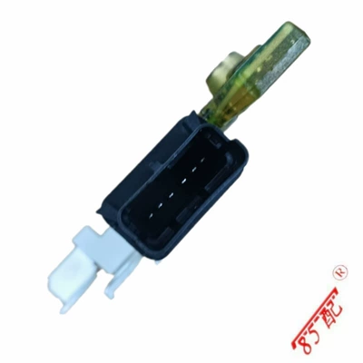 Battery Manager module Other power supply, ignition system