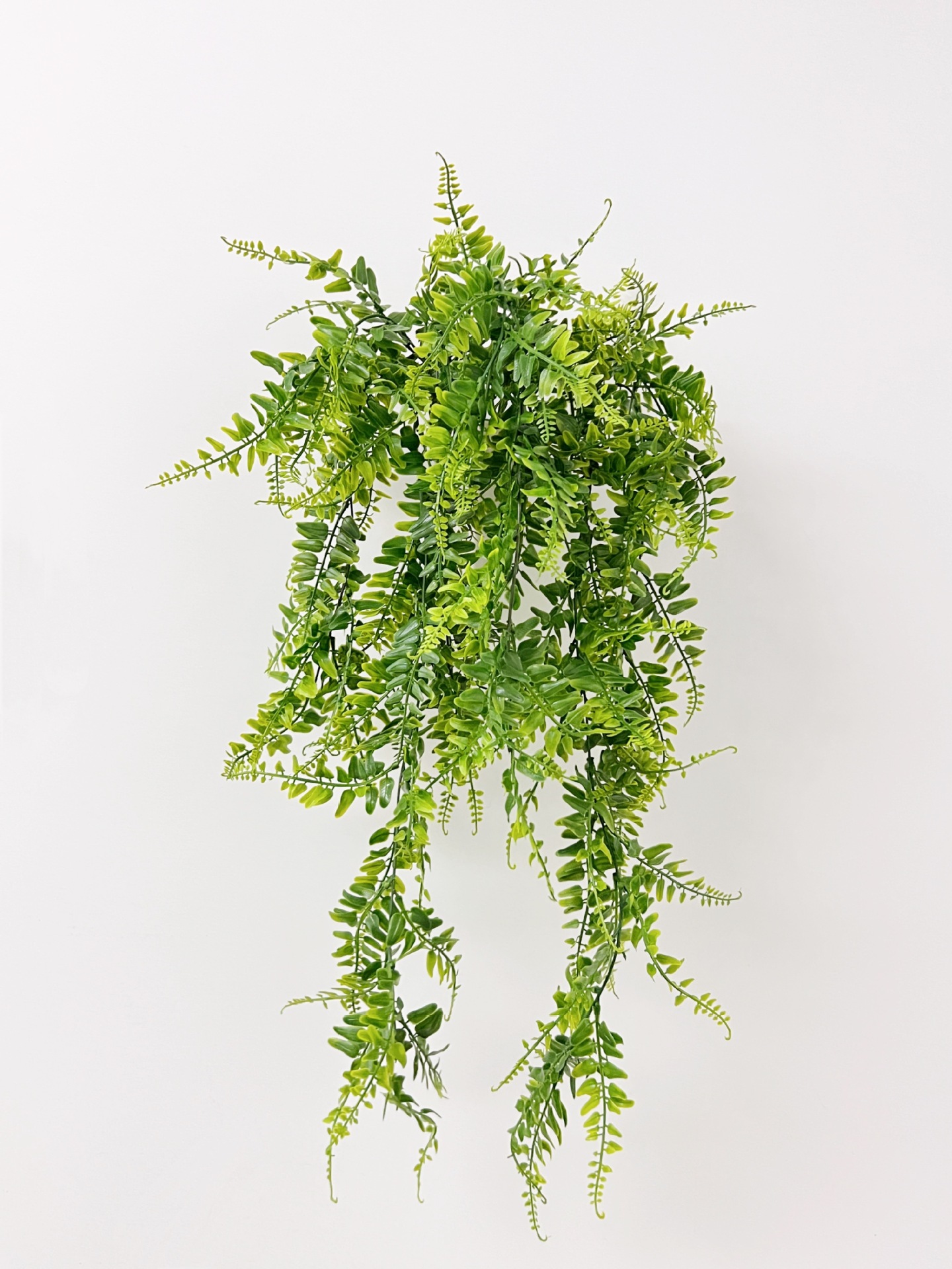 微信图片_20220705143029