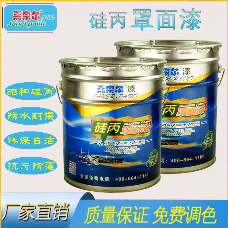 嘉奈尔硅丙罩面漆真石漆多彩漆水包砂磨石假山石材防水罩光漆面油