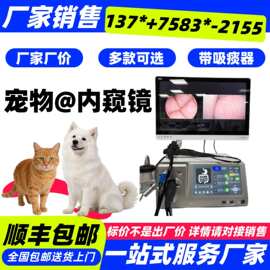 兽医胃镜 肠镜胃镜厂家批发 兽用内窥镜多少钱一台 宠物内窥镜