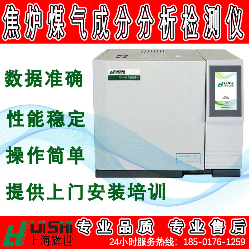 焦炉煤气组分的气相色谱仪 热值分析仪 燃气热值分析仪天然气分析