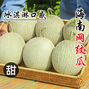 �Fժ���ϾW�y�۹�10��������õ���۹Ͻ�����ܾW�y�o�����ܹ����r