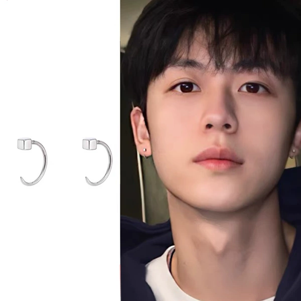 A pair of C460 ear hooks