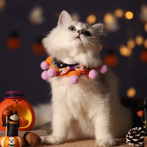 Cat clothes Halloween bib pet collar funny bib hand-woven puppet gold gradient cat accessories