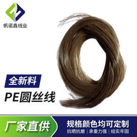 厂家直供可定 制颜色规格吊牌线葱线 圆空芯金银丝线 PE圆丝线