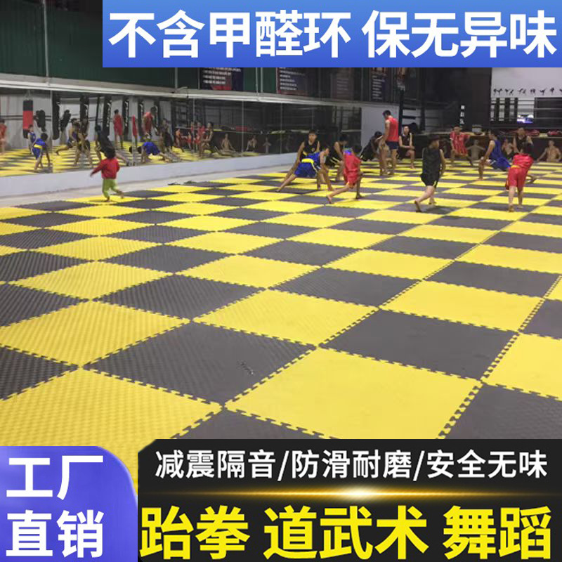 Martial Arts Training Mat, Taekwondo Floor Mat, Dance Fighting, Sanda Boxing Mat, Soundproof and Shockproof Fitness Floor Mat