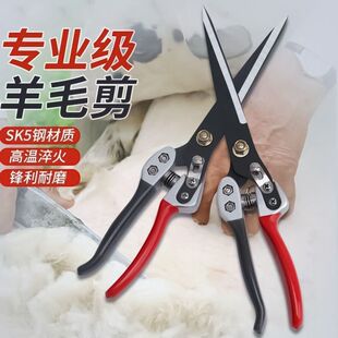 ��ë�������ֹ�����ë��������քӏ��ɼ�����ëţë������ë����