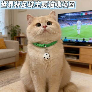 �羳����؈���ȦС�������籭���}�����Ȧ�����������Ʒ