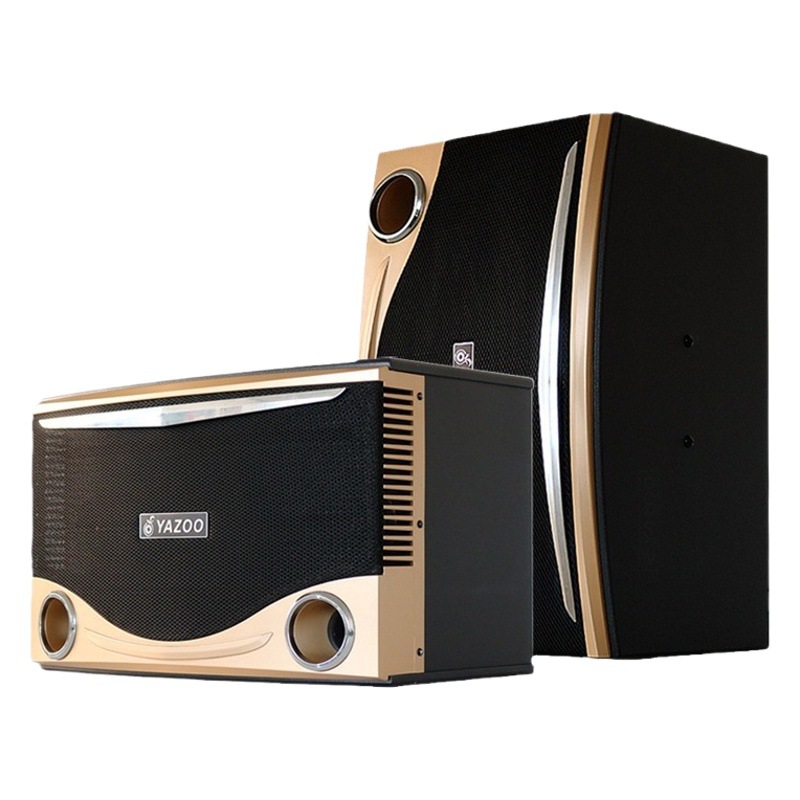 Directo de fábrica de 10 pulgadas pasiva de frecuencia completa profesional titular de la tarjeta de altavoz de sonido al aire libre karaoke transmisión en vivo hogar KTV audio traje