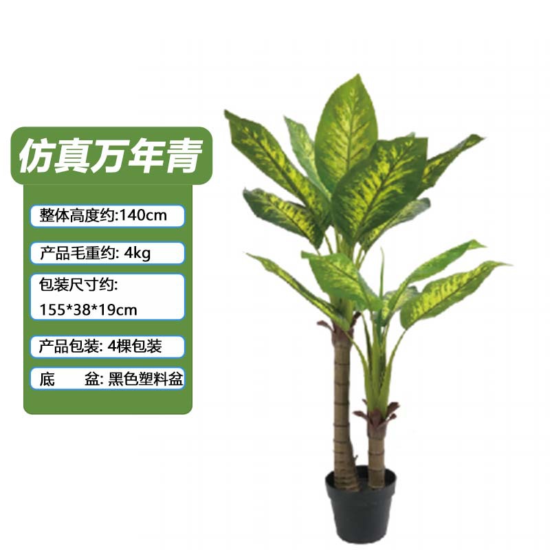 Simulación Evergreen Planta verde en maceta Oficina Sala de estar Decoración del hogar Varilla de plástico Simulación artificial Evergreen maceta