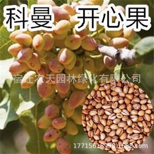 �̹��_�Ĺ��������Ե��� ����Y���޽ӹ��������� �Ϸ������Nֲ