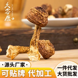 莲子;豆类;百合