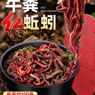 �����D�r��t�x����~�D���a�~���~Ұឺڿ��~�ϴ�C���~ʳͨ��