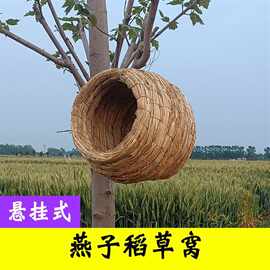 燕子窝鸟窝鸟巢稻草窝屋檐户外冬天保暖室内房子屋睡觉悬挂式