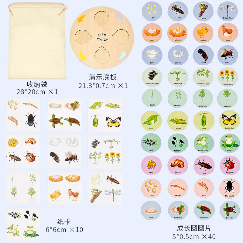 수명주기 추론표