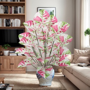 �����c�Gֲ���^�~��ɫ�͏d���@�b������ֲ�ﺣ���~�����^����