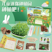 儿童迷你种植园 阳光房科学实验室 种子发芽 diy盆栽套装玩具批发