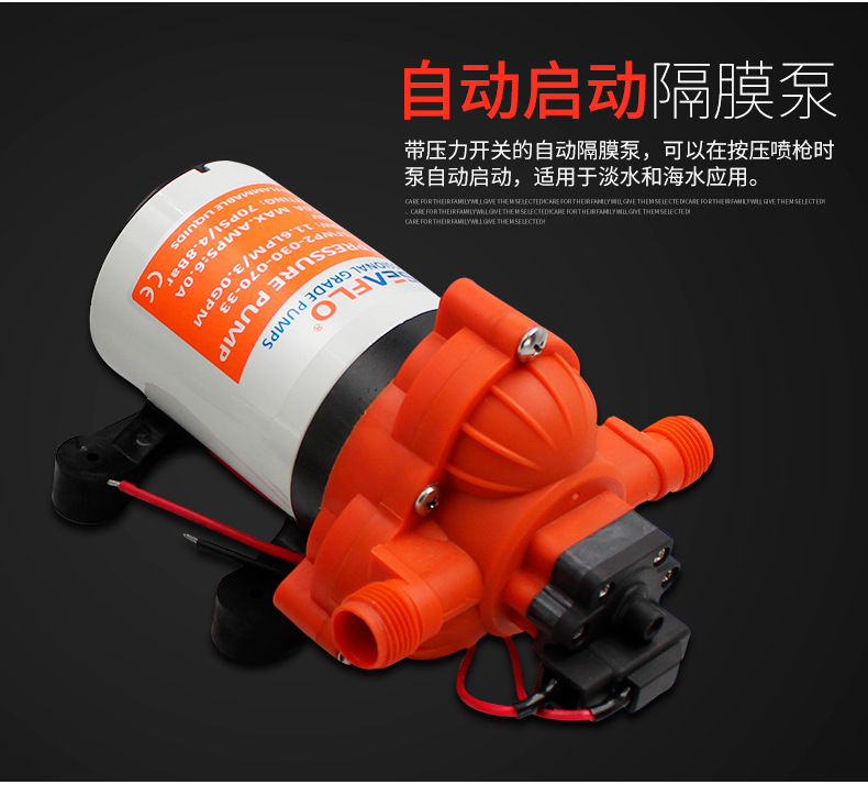 12V24V deck washing pump kit car wash pump washing pump diaphragm pump portable washing kit