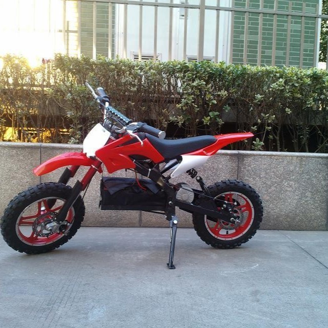 Electric Children's Off-Road Vehicle 36V500W Motorcycle Mini All-Terrain 2-Wheel 10inch Large-Wheel Mountain Bike