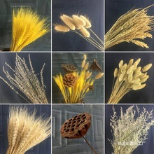 �׃��@��Ȼ���쾰ֲ��ǲ��ò����r���������b�����Ʒ����h��