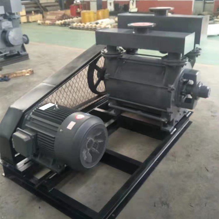 2BEA系列水环式压缩机 可用于建材行业 点石泵业