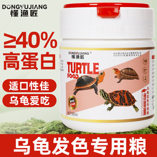 �����lɫ���Z�ߵ��׽��X������t�浰����ɫ������w��ɫ�����ʳ