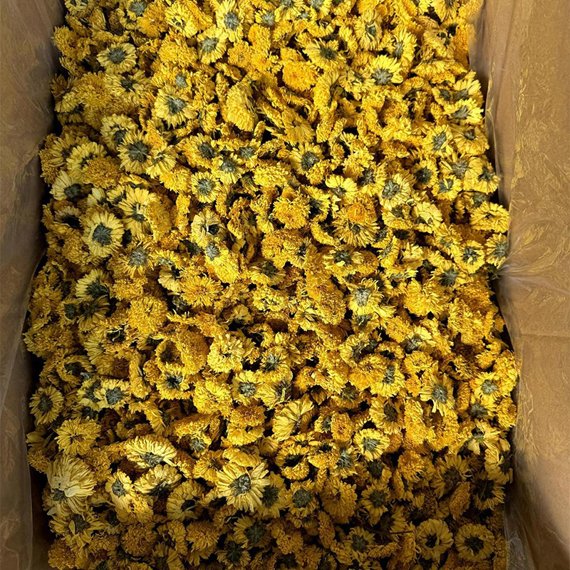 徽五弟菊花茶黄山菊花干花茶金丝皇菊胎菊徽州皇菊多品产地直发|undefined