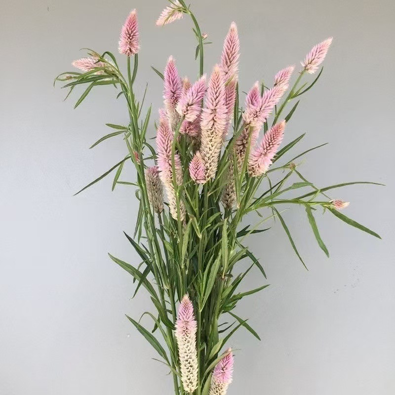 微信图片_20241108114829