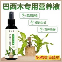 巴西木盆栽通用幸运木专用型营养液养花肥料水培水养植物肥料家用