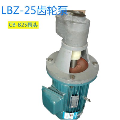 LBZ系列立式齿轮泵装置  CB-B  25 40  63  稀油站系统支架联轴器|ru