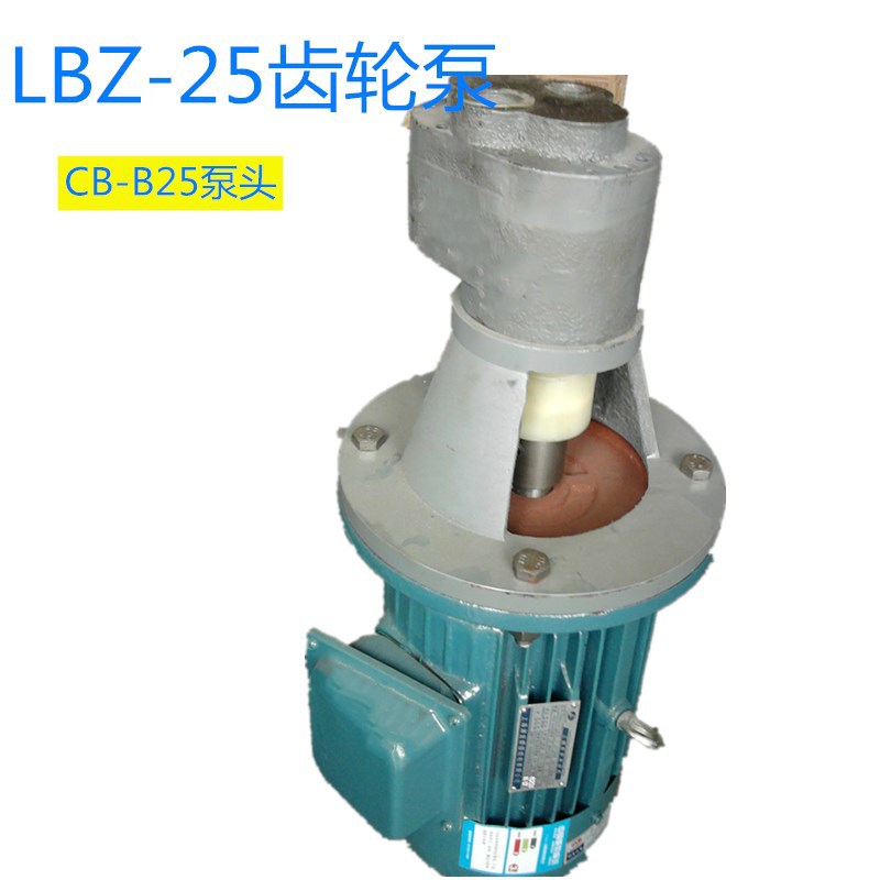 LBZ系列立式齿轮泵装置 CB-B 25 40 63 稀油站系统支架联轴器|ru