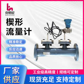 西安LX燃油柴油汽油双法兰差压变送器防腐防爆楔形流量计生产厂家