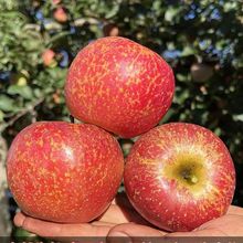 �����ͨ�t¶�O�����r�����ĳ��O���t��ʿˮ�����rˮ��һ�����l