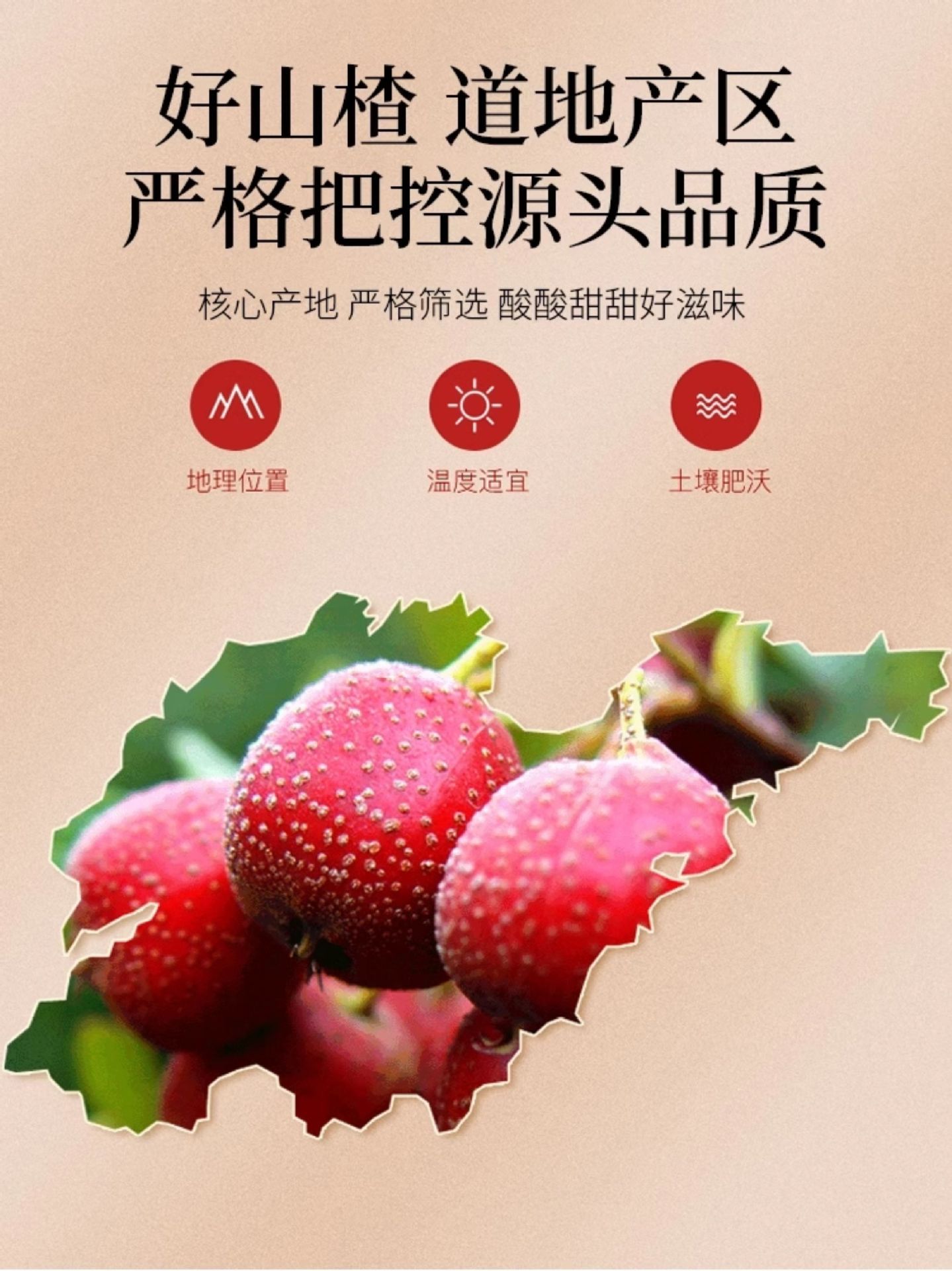 Dried Hawthorn Slices Shan Zha 山楂 Seedless Rings 250g with Rose Bud Tea 250g for Brewing key features