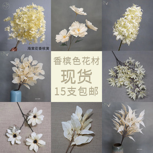 ���滨�㙉ɫ�~��õ��ĵ��������w�����~�Ͳ��~�������컨����