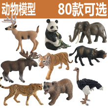 ����ģ��  �羳���� �̌W��������ģ�� �������{���ϻ�¹�r�B��