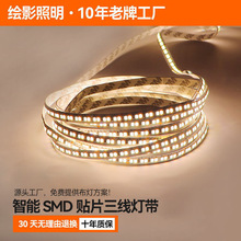 智能低压24V灯带led灯条家用语音控制无极调光高显指无暗区线性灯