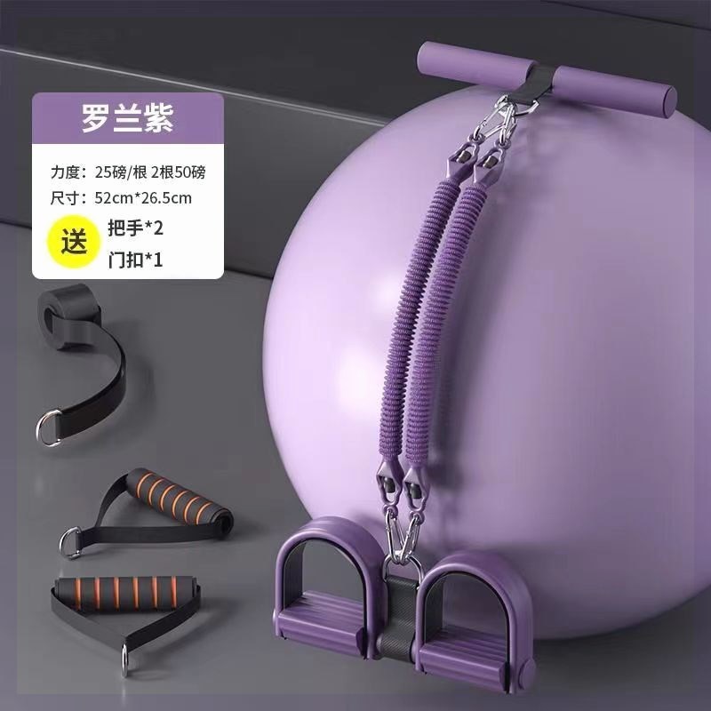 롤랜드 퍼플 2 50 파운드 도어 버클 2 핸들