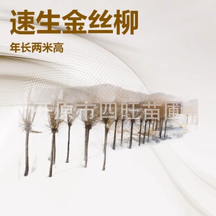 �|���|�������������z�^�� ��֦�� ��z���� ��������a��