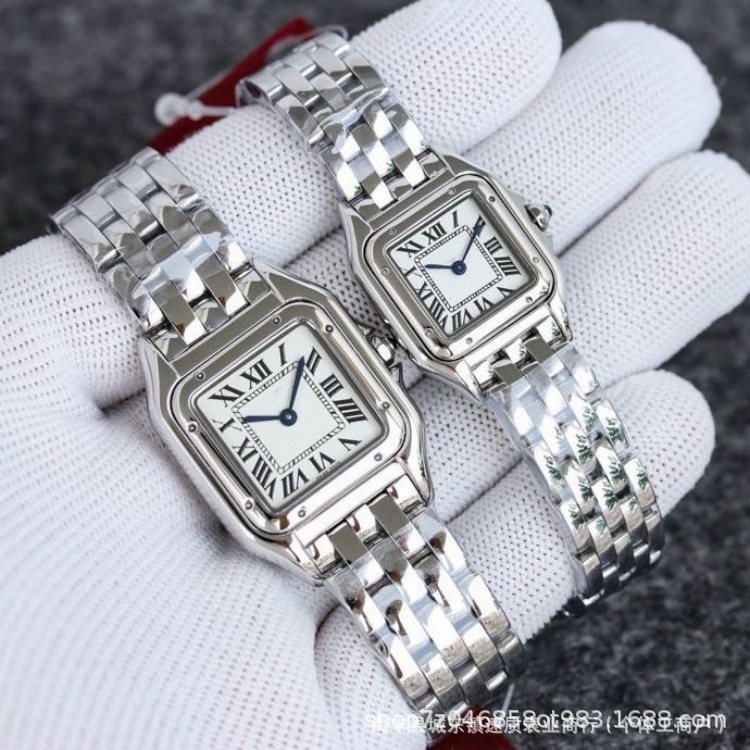 Cross-Border Cheetah Classic Series Stainless Steel Small Square Watch Fashionable and Simple Roman Face Quartz Women's Watch Factory Wholesale Foreign Trade