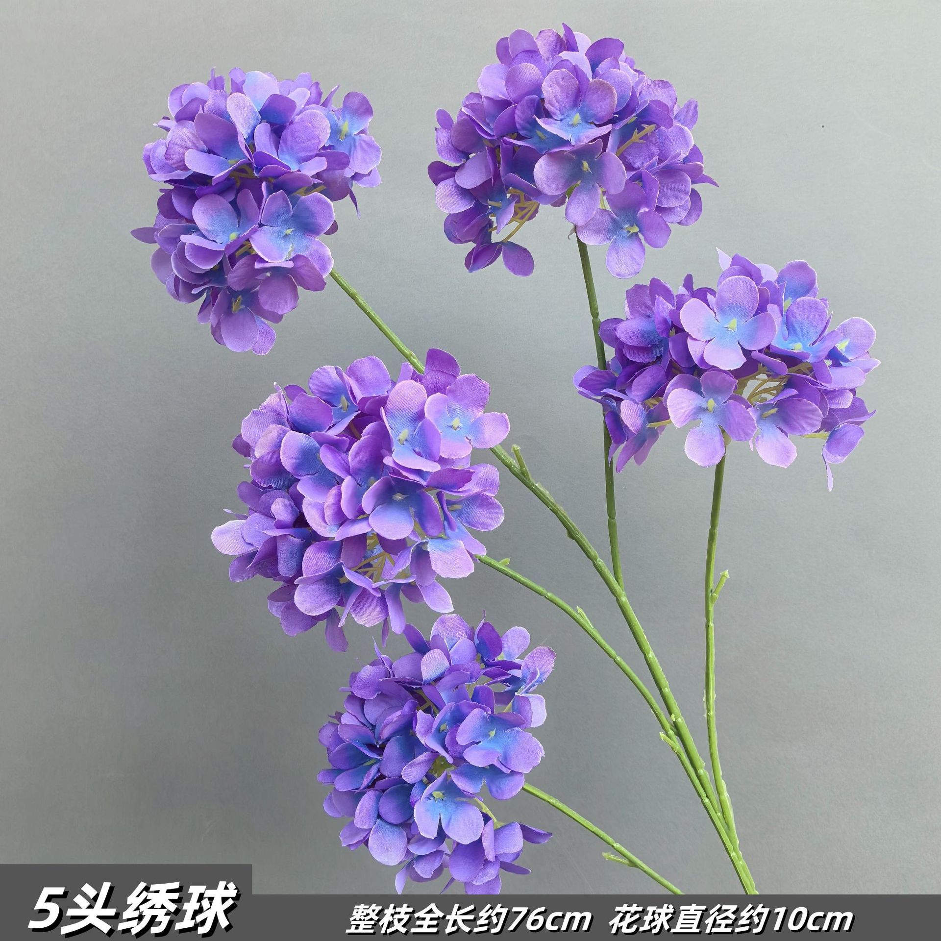 보라