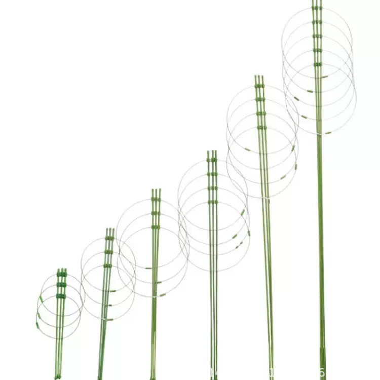 厂家批发花架膜 支架膜 铁环花支架 爬藤植物架 园林工具植物膜
